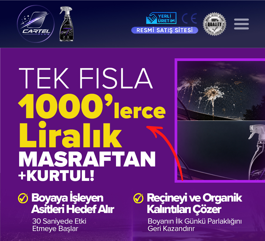 Başlık